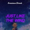 JUSŦ ŁƗKE ŦHE WINĐ(Versão Piseiro) - Gravezaum Stronda