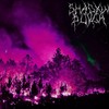 Darkness (Explicit) - SHADXWBLVCK