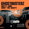 Pretty Thing (Don't You Want?) (Original Mix) - Ghostbusterz