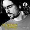 In a Dream (Maks Lamar Remix) - DJ Tarkan&Dammex