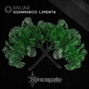 Anuar (Original Mix) - Gianmarco Limenta