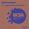 Open (Sean McClellan Remix) - Dave Leck&Sean McClellan