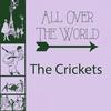 He's Old Enough To Know Better - The Crickets