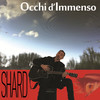 Occhi D'Immenso - Shard