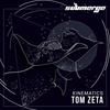 Kinematics - Tom Zeta