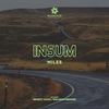 Miles (Infinity State Remix) - In5um&Infinity State