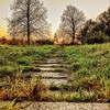 slow down - Eleusis