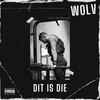 Dit is die - WOLV