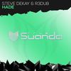 Hade (Original Mix) - Steve Dekay&R3dub