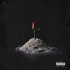 Crazy (Explicit) - Lil lipsee