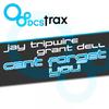 Can't Forget You - Jay Tripwire&Grant Dell
