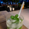 Mojito Anatomy - INCARMA