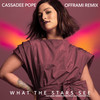 What the Stars See(feat. Karen Fairchild & Lindsay Ell) (offrami Remix) - Cassadee Pope&offrami&Lindsay Ell&Karen Fairchild&Lindsay Rimes&Jake Rose