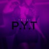 P.Y.T - Pricey