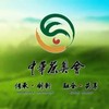 茶奥之歌——中华茶奥会主题曲 (伴奏) - 高婉蓉&王靖