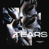 Tears - Vovking