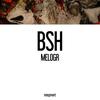 Melogr - BSH