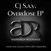 Inanis (Original Mix) - CJ S.A.Y.