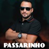 Passarinho (Explicit) - dj thebest&NT DO MANDELÂO