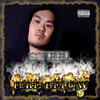 Fire Below - Steel
