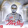 No Story (Radio Version) - Vox Veezy