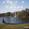 Aint A Thang (Explicit) - STAR CHILD