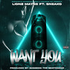 Want You (Explicit) - Lionz Mayne&Sneako