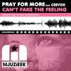 Can't Fake The Feeling (Pray For More's In Love With Mjuzieek Remix) - Pray For More&Ceevox