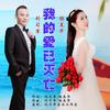 我的爱已灭亡（对唱版） - 刘习军&杨美华