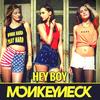 Hey Boy (Radio Mix) - Monkeyneck
