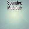 Spandex Musique - Reginah Avin