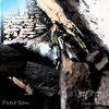 Sun Is Back - Petit Son