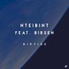 Riptide (Instrumental Mix) - NTEIBINT&Birsen