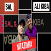 Nitazimia - SAL&Ali Kiba