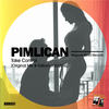 Take Control (Instrumental Mix) - Pimlican