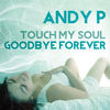 Goodbye Forever (Strumentale) - Andy P&Brace
