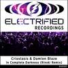 In Complete Darkness (Rinski Remix) - Criostasis&Damien Blaze