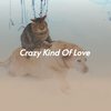 Crazy Kind of Love - Louise Cordet