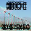 Brand New Day (Original Mix) - Midsplit