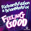 Feeling Good (DSKOTEK Remix) - Brian Matrix&Richard Vission