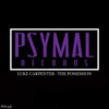 The Possession (Original Mix) - Luke Carpenter