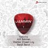 Ghanan Ghanan (Jammin') - Salman Ali&Ritu Agarwal&Digvijay&Raaga Trippin