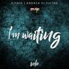 I'm Waiting Solo - Dj Skip&Andrea Di Pietro