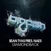 Diamondback (Original Mix) - Sean Tyas
