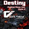 Destiny (Original Mix) - Physical Phase&Sheila D