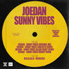 Sunny Vibes (Blakk Habit Remix) - Joedan&Blakk Habit