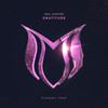 Gratitude (Original Mix) - Neil Hunter