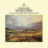 Piano Trio No. 1 in D Minor, Op. 49: I. Molto allegro ed agitato - Pierre Amoyal&Frederic Lodeon&Anne Queffelec