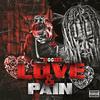 Hidden Scars (Explicit) - BiggZee&Huncho&Duke Montana