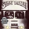 Don't Look Back - Stray